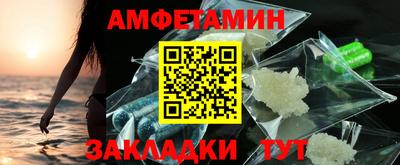 стаф Гатчина