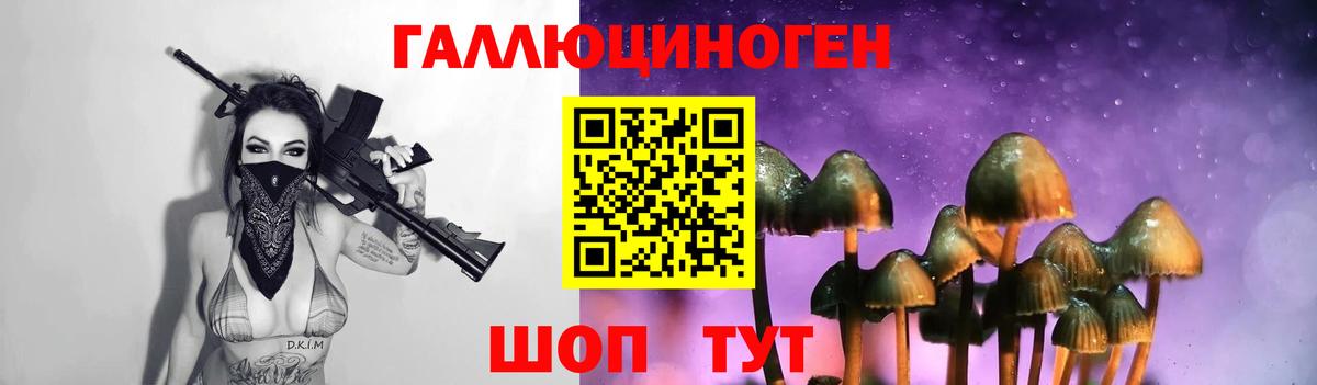 Галлюциногенные грибы Psilocybine cubensis  где можно купить наркотик  Вход с VPN  Щёлково  Псилоцибиновые грибы GOLDEN TEACHER 